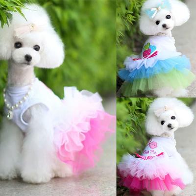 Puppy Pets Apparel Kiss Me Small Dog Cat Dress Princess Dress Pet Clothes Cotton Lace Tutu Skirt
