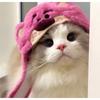Cat Cute Cartoon Decorative Funny Cat Headwear Cat Dog Hat Headgear Pet Cute Funny Artifact Warm Plush Pet Hat Pet Photo Props