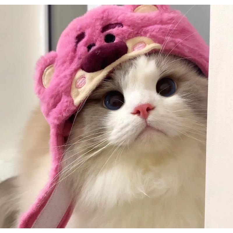 Cat Cute Cartoon Decorative Funny Cat Headwear Cat Dog Hat Headgear Pet Cute Funny Artifact Warm Plush Pet Hat Pet Photo Props