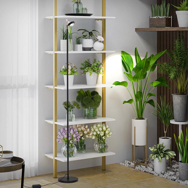 Full Spectrum Indoor Grow Light - Professional Floor Standing LED for Plants, Succulents, and Flowers