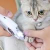 2 In 1 Dog Nail Clippers And Grinder USB Rechargeable Electric Pet Claw Trimmer with LED Light Quiet Grooming Tool for Large Medium Small Dogs Cats