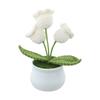 Beautiful Crochet Flower Pot Home Decoration 14 Cm Crochet Flowers Charming Table Centerpiece Natural Aesthetic Design