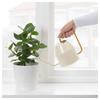 IKEA Watering Can Color VATTENKRASSE Ivory/gold (903.941.54)