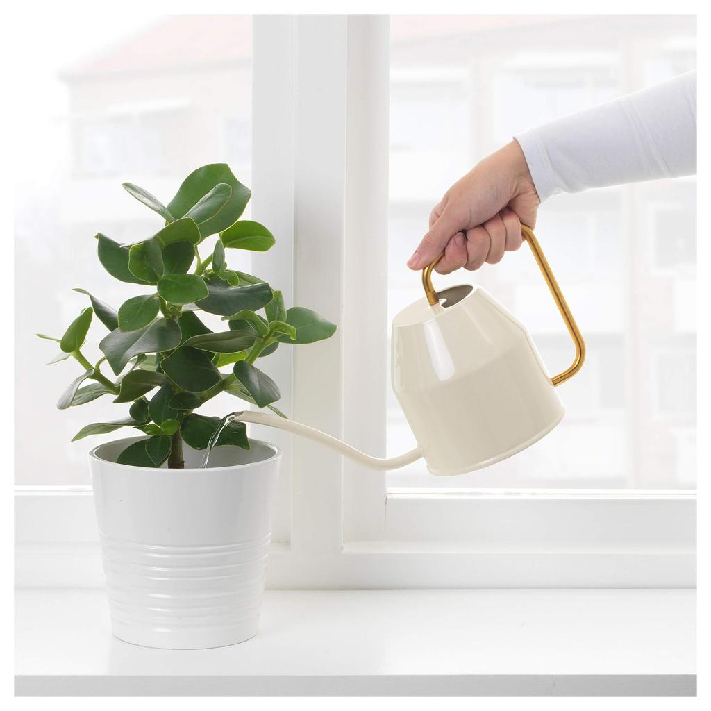 IKEA Watering Can Color VATTENKRASSE Ivory/gold (903.941.54)