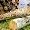 Logging Tongs 2 Claw Skidding Tongs Log Grapple For Logging Lifting Handling Dragging & Carrying Tool Heavy Duty Timber Claw Non