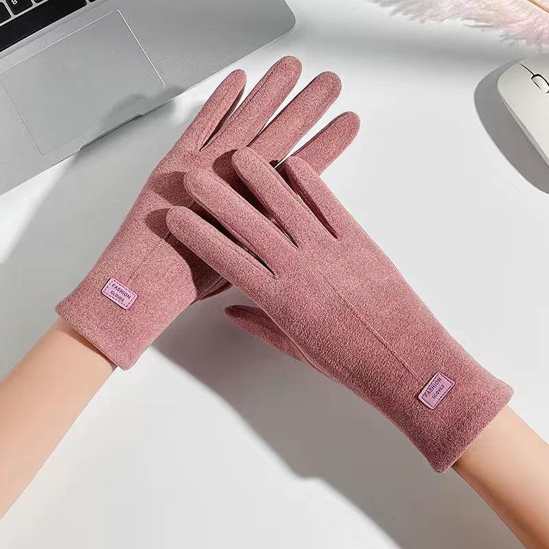 Gloves women's autumn and winter fleece thickened warmth and cold-proof German velvet outdoor cycling high elasticity free size autumn