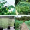 Grünes Vogelnetz – Strapazierfähiges Gartennnetz zum Schutz von Pflanzen & Obstbäumen – UV- & Frostschutz, Wiederverwendbar – Verschiedene Größen erhältlich