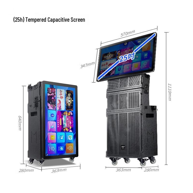 SAST Professional KTV & Conference Audio System