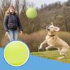 9.5 Inch Large Inflatable Giant Tennis Ball - Durable Pet Chew Toy, for Dogs Chasing Interactive Play Games, Pet Supplies