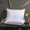 Hilton Hotel 48x74cm Pillow Pair with Pillowcases - High & Low Pillow Core, Non-Collapsing