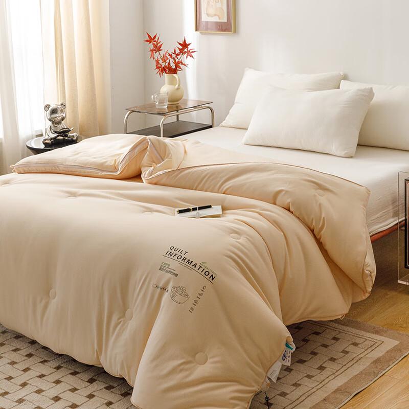 Muji All-Season Zippered Soy Fiber Mother-Child Duvet
