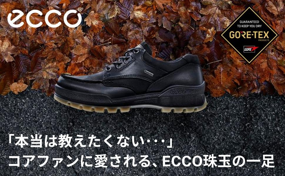 ECCO Men's TRACK 25 Waterproof Outdoor Shoes Brown 26.5cm (3E) GORE-TEX