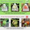 100PCS Fruit Protection Bags Anti-Bird Garden Netting Bags Strawberry Grapes Mesh Bag Plante Vegetable Netting Cover Garden Tool