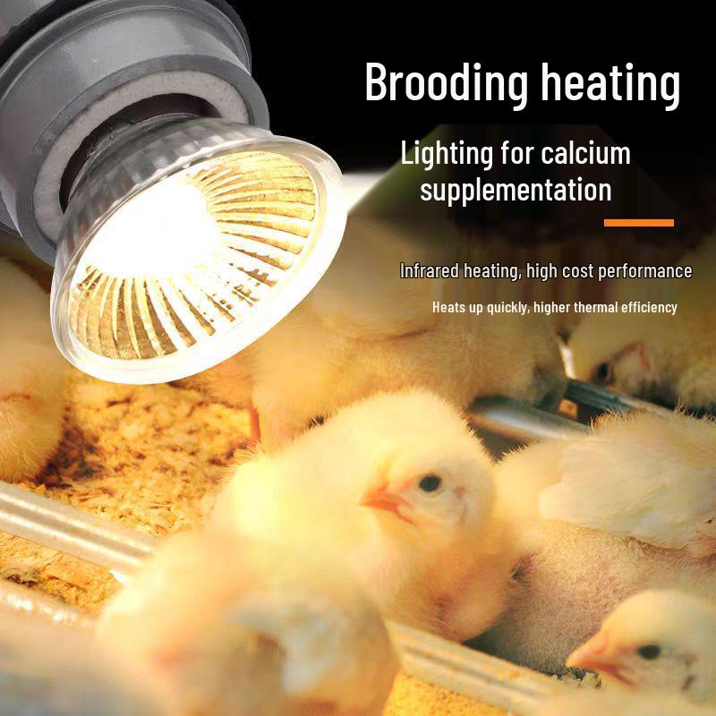 Glühbirne zur Reptilienheizung: Schildkröten Sonnenplatz UVB & Kalzium Ergänzung