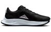 Nike Pegasus Trail 2 Black Platinum (Women's)