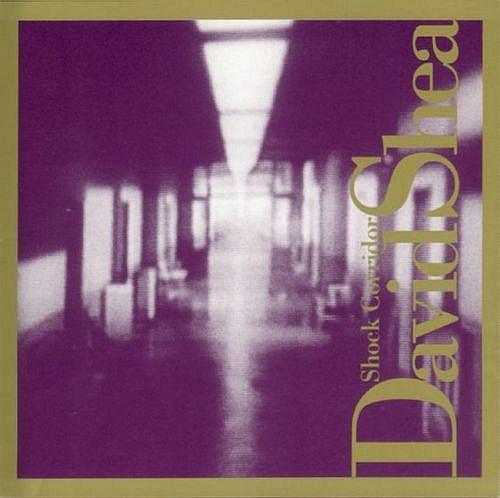 

CD DAVID SHEA - Shock Coridor AVAN013 Avant 1992 Japan ObiSoul/Funk Used