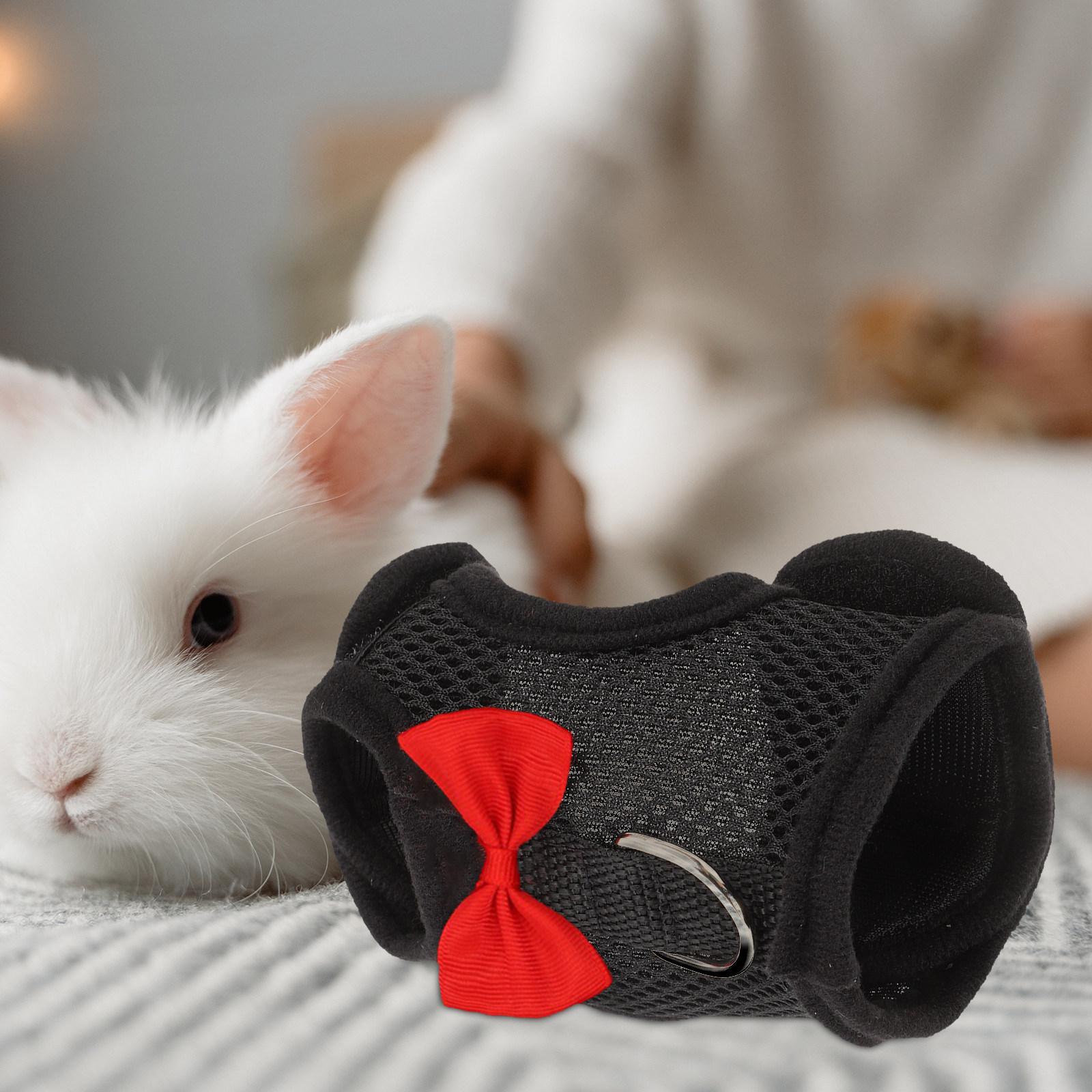 1Set Pet Harness Leash Rabbit Harness Bunny Walking Supplies Breathable Bunny Vest Leash Outdoor Traction Rope M