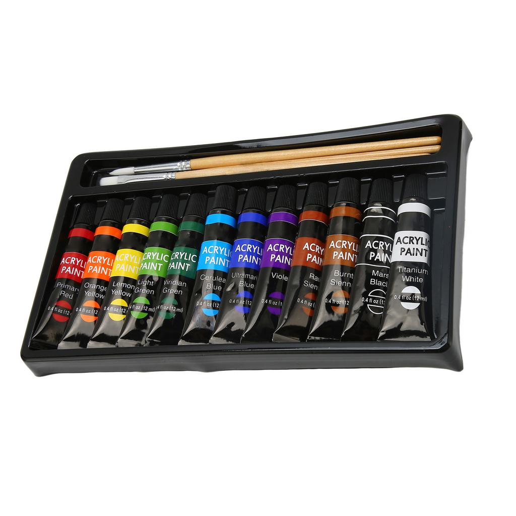 Acrylic Paint Set 12 Color Art Doodle Acrylic Craft Paint Set with 3 Brushes for Adults Kids
