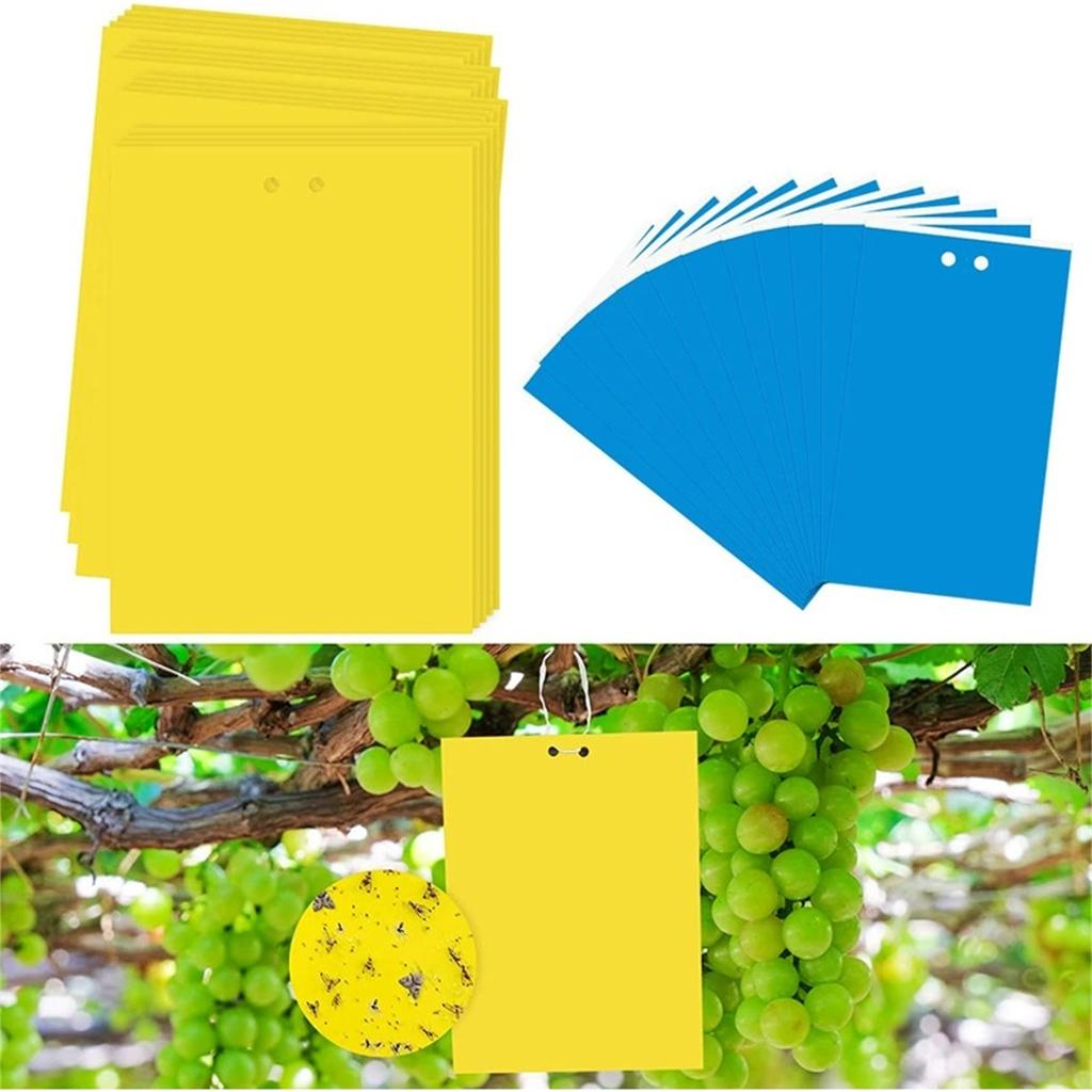 Blue & Yellow Double-Sided Sticky , Garden and Orchard Insect Catcher, Sticky Board, Effective Flying
