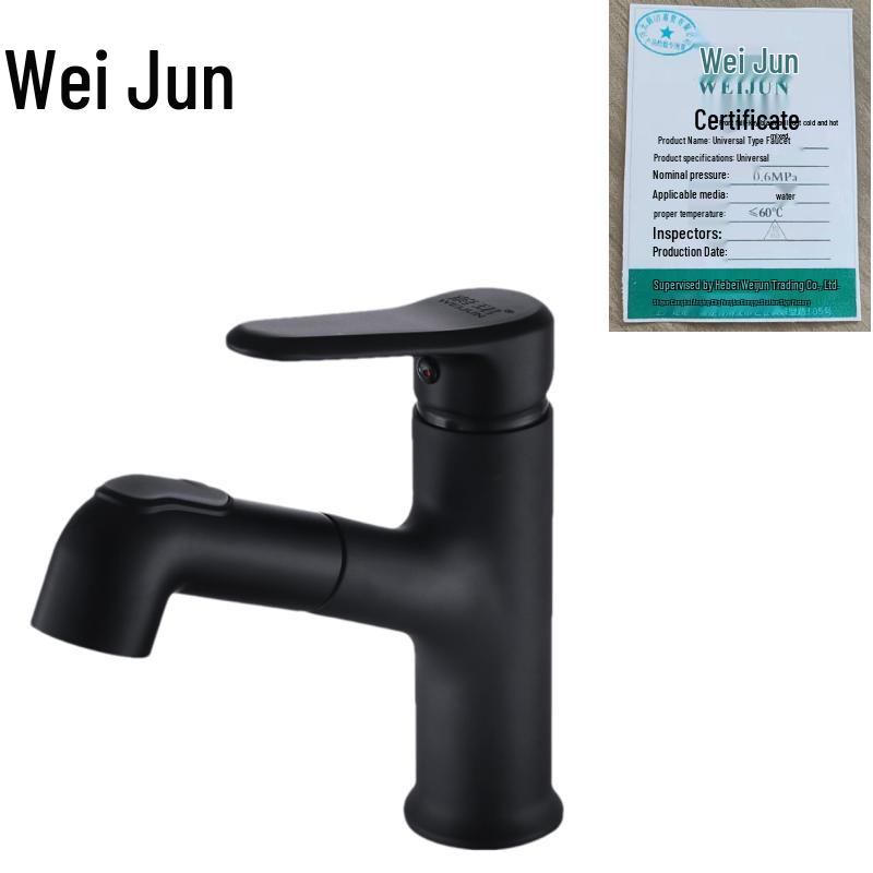 Wei Jun Black Copper Pull-Out Hot & Cold Basin Mixer Faucet
