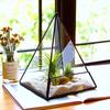 Nordic Glass Dome Geometric Greenhouse Vase: Decorative Flower Ornament for Home or Coffee Shop