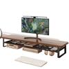Adjustable Desktop Monitor Stand with Storage