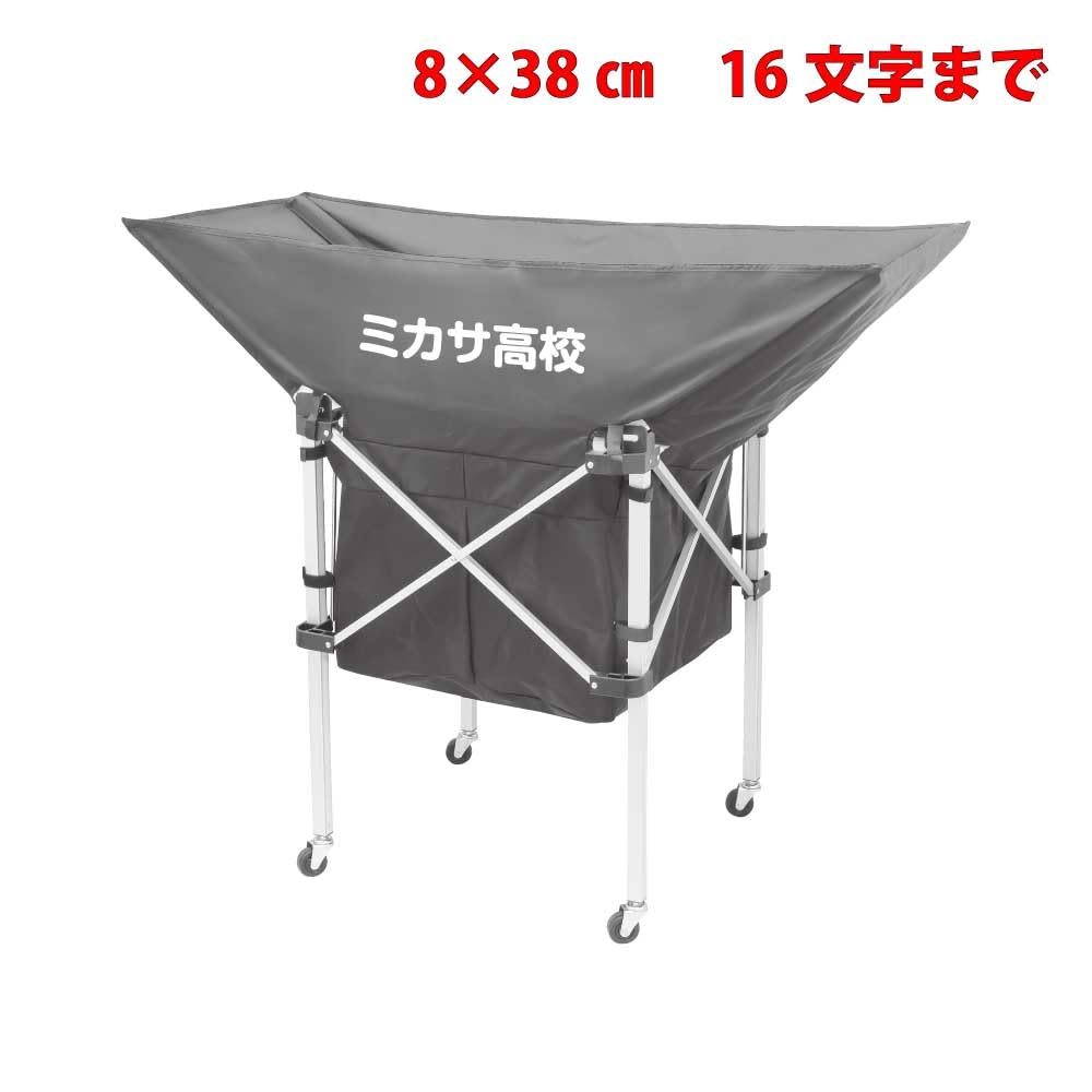 Mikasa AC-BB210 Ball Basket, Blue