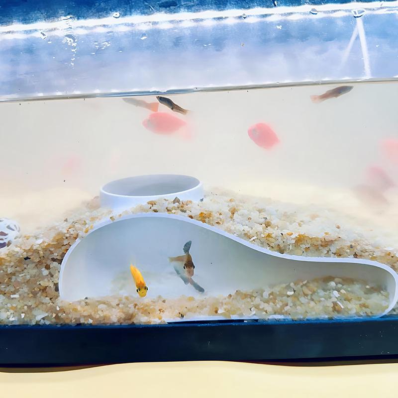 Aquarium Tunnel Decoration 3D Natural Curves Realistic Resin Decorative Landscaping for Living Room Home