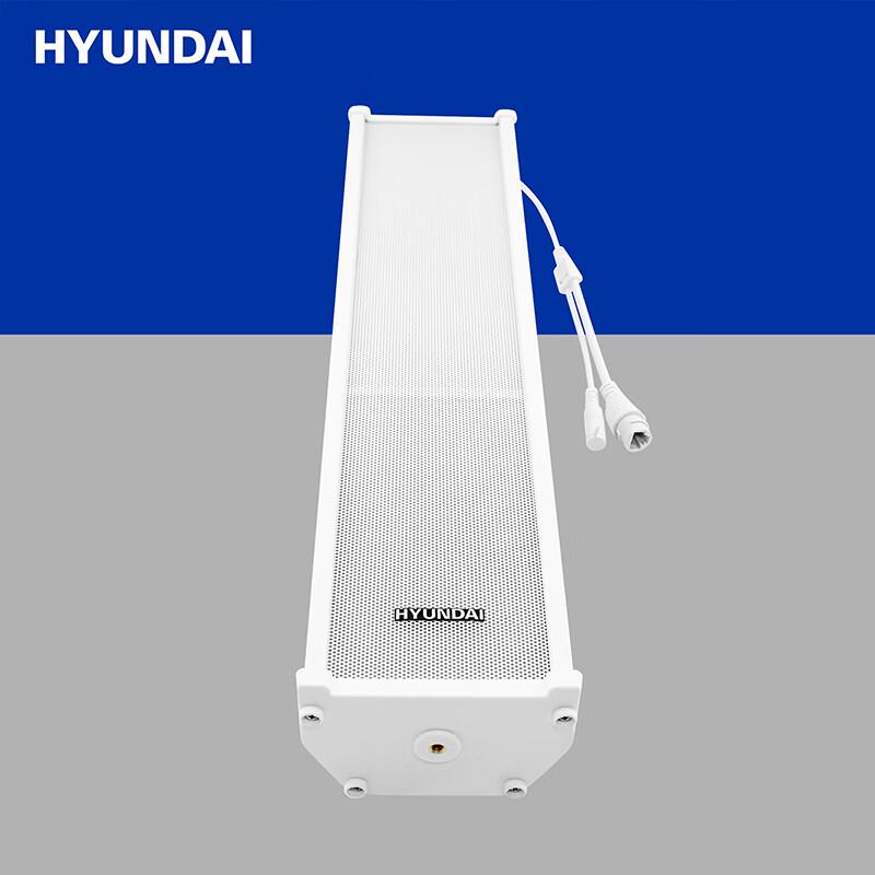 Hyundai IP Network Broadcasting Audio Systems CN plug (adapter included)