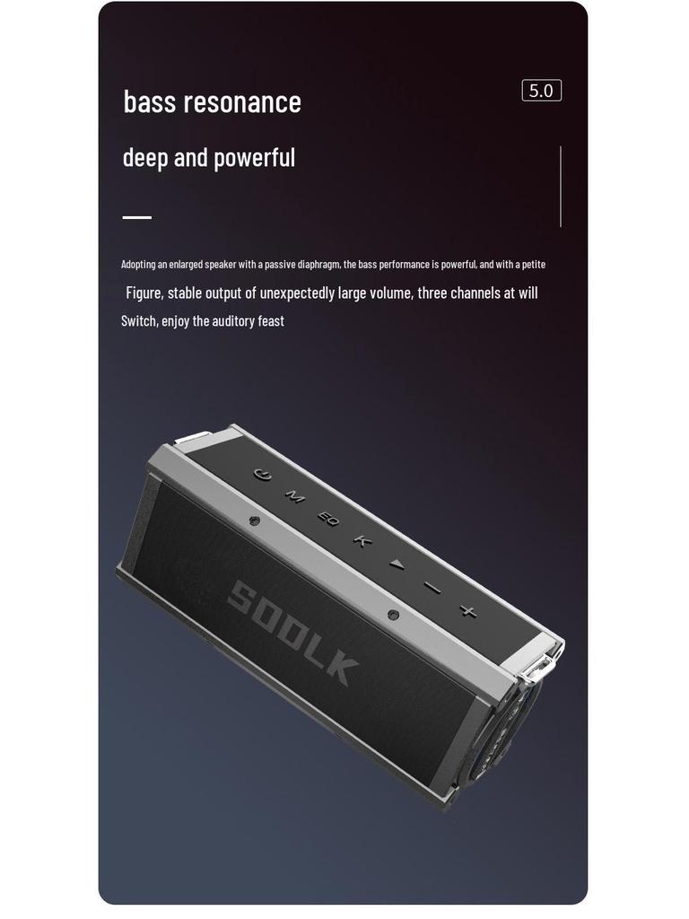 SODLK 120W German Bluetooth Subwoofer Speaker with K Song, Portable for Home & Dance, Supports U Disk & TF Card.