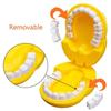 Dental Mold Toy for w/ Giraffe Teeth Mold & Teeth-brush Realistic Pretend for Play Toy Kids & Toddler Educational Teachi
