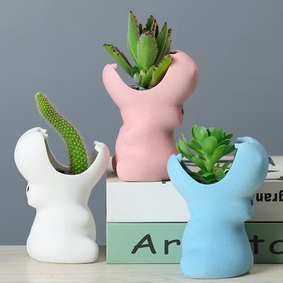 Gardening Simple Creative Flower Pot Ceramic Desktop Plant Cartoon Animal Succulent Flower Device