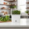 Plastic Fresh Herb Keeper Airtight Vanilla Bean Storage Box Vegetable Keeper  Prolongs Produce Life