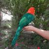 Kleurrijk Papegaaienveer Simulatiemodel - Nep Vogel Speelgoed Ornament Decoratie