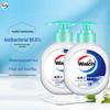 Walch Healthy Antibacterial Hand Wash 2-Pack