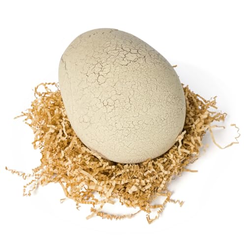 TAKARA TOMY Hatchimals Jurassic World T-Rex Egg