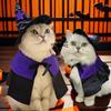 Pet Halloween Wizard Costume Set: Hat & Cloak for Cats and Dogs