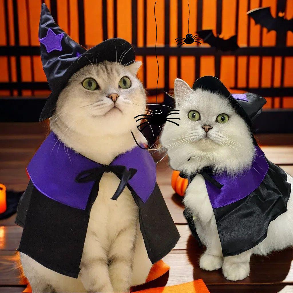 Pet Halloween Wizard Costume Set: Hat & Cloak for Cats and Dogs