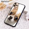 Chihuahua Niedlicher Hund Welpe Collage Handyhülle Schale Für iPhone 17 Air 12 13 16 pro max 15 14 plus Hülle coque