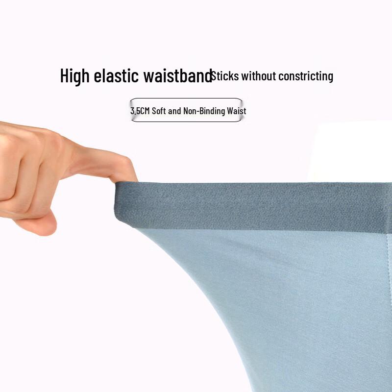 Pierre Cardin Herren Lyocell Tencel Antibakteriell Nahtlose Boxershorts