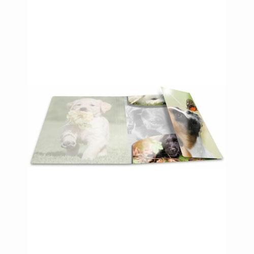 Herma Elasticated Glossy PP Folder A4 Animals (Dogs)