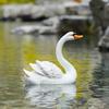 Floating Swan Garden Fountain Sculpture