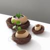 Creative INS Ceramic Eggshell Bird’s Nest Bowl – Ramen, Dessert & Snack Bowl