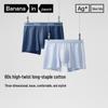 Bananain Men's Silver Skin 500S Antibacterial Boxer Briefs (2-Pack)
