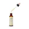 Fleurs de Bach n°36 Wild Oat - Folle Avoine 20ml