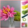 321 Stück DIY für Wasserlilien-Bastelset mit vollständiger Farbe, Chenille-Stiele für Hochzeit, Heimdekoration, Valentinstagssträuße