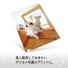 Plus Photo Paper, Super Beautiful Glossy Paper, L Size, 100 Sheets IT-100L-GC 46083
