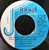 7-Zoll-Schallplatte BOUNTY KILLER The Lord Is My Light And My Salvati NONE Jammys Records 1995 Jamaika Reggae Ska Dub Gebraucht