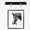 Hanging Rope Picture Rail Hook Hangers Kit Hooks System Painting Frame Wire For