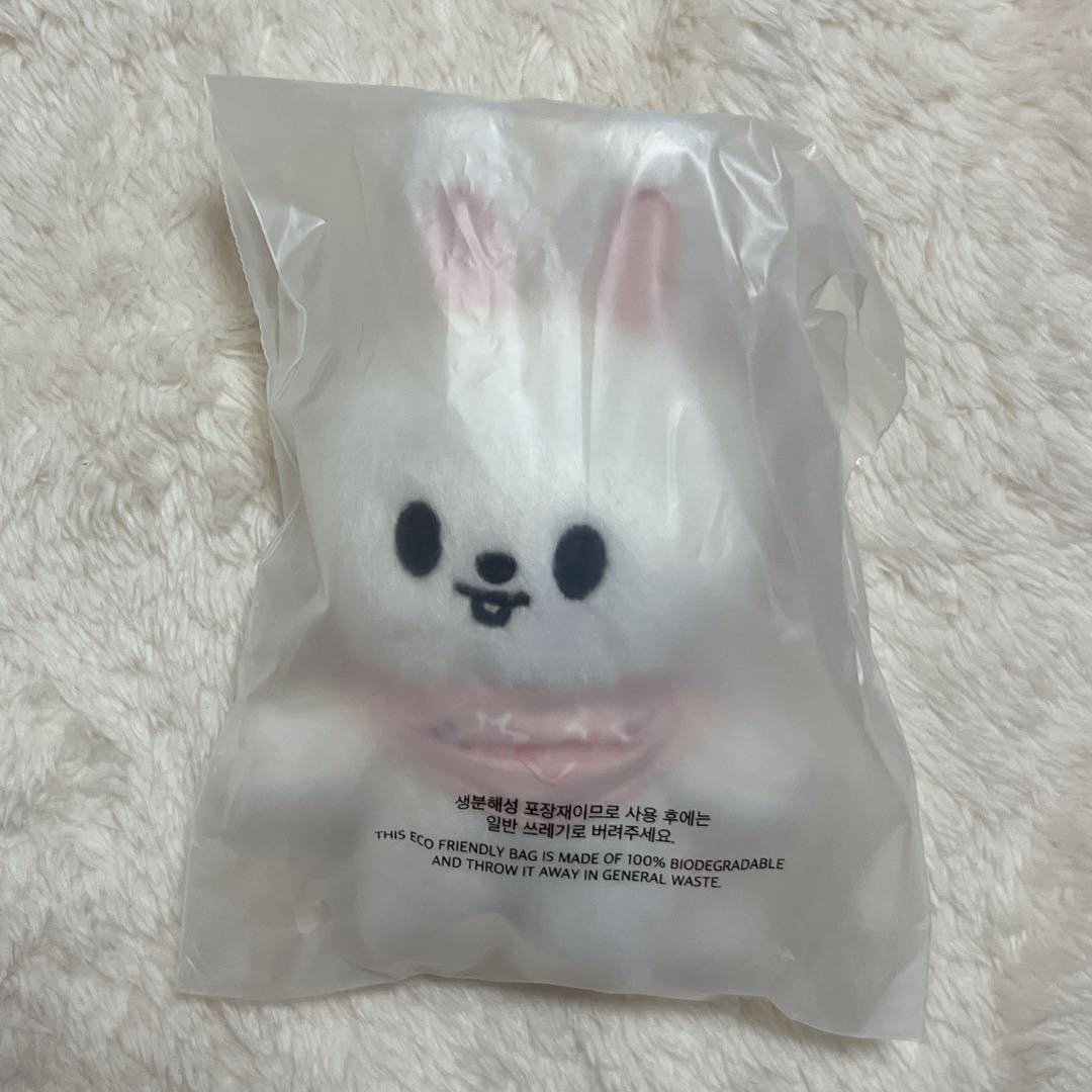 

[USED] straykids SKZOO 10CMPLUSH stuffed animal Reno Leavitt